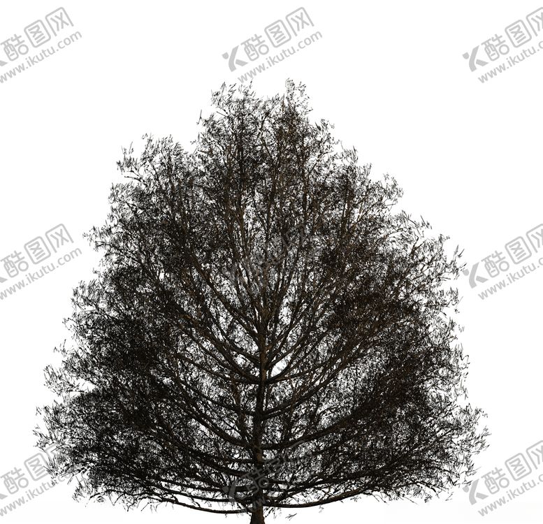 编号：22877009210608466860【酷图网】源文件下载-树木