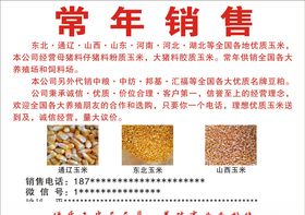 玉米销售