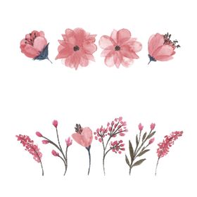 手绘花草蝴蝶背景图片