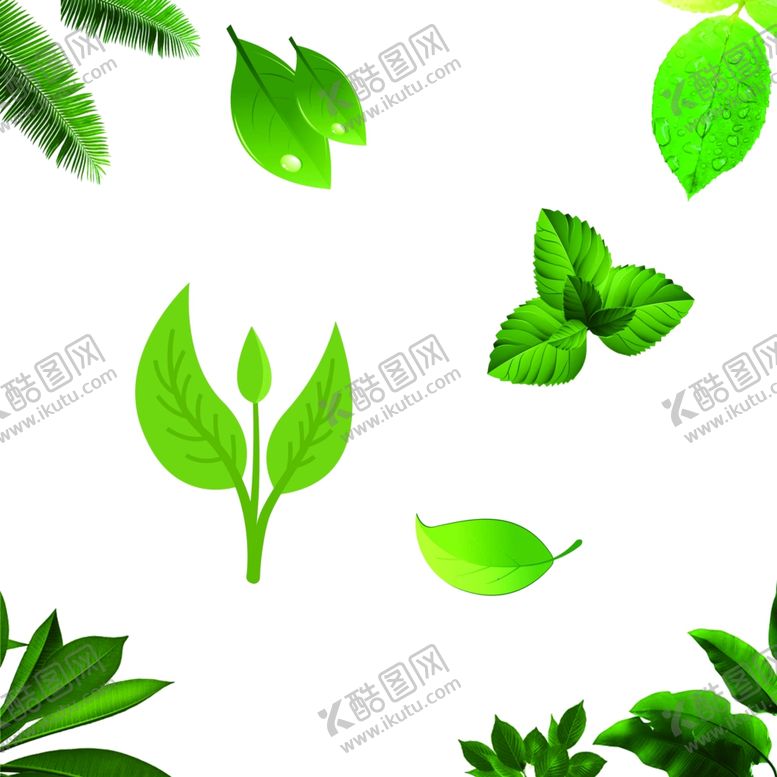 编号：95223310032000013232【酷图网】源文件下载-绿色树叶素材