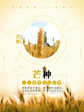 芒种海报宣传展架背景素材