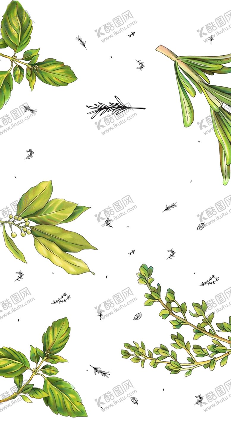 编号：81895209242336419339【酷图网】源文件下载-绿色背景