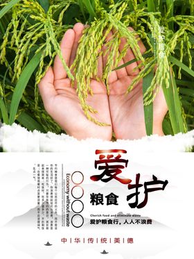 校园食堂文化珍惜节约粮食展板