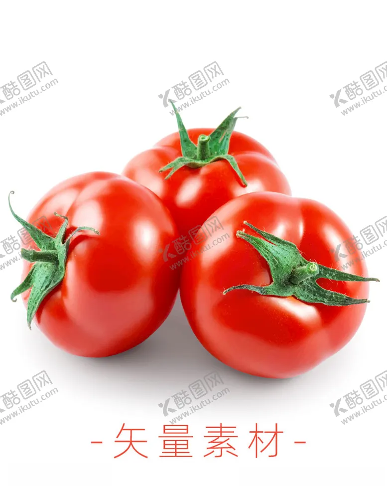 编号：52587409110542473622【酷图网】源文件下载-番茄西红柿
