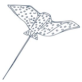 手绘海洋生物贝壳底总动员底珊瑚藻