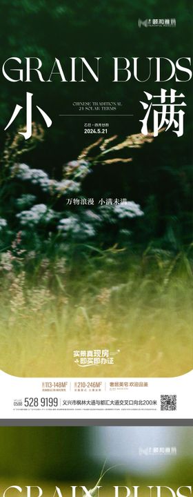 2025小满24节气节日海报