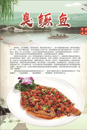 臭鳜鱼海报