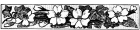 花纹边框