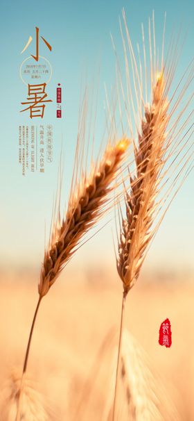 小暑节气图片