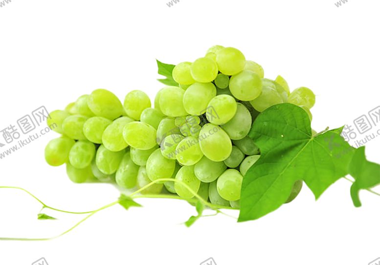 编号：35523510020136415369【酷图网】源文件下载-水果