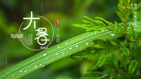 大暑