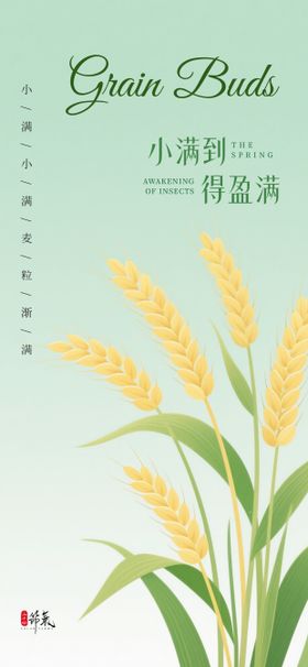 小满节气海报