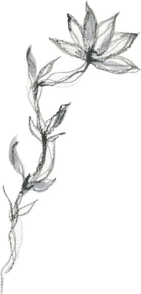 彩绘枝叶森