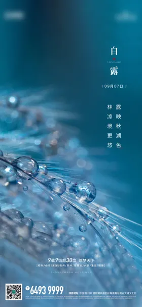 白露谷雨节气海报
