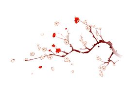 中国风水墨梅