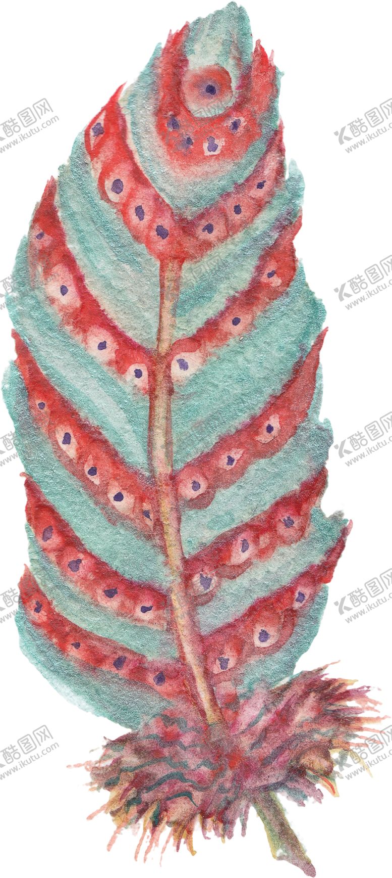 编号：70410611010152045881【酷图网】源文件下载-手绘水彩羽毛