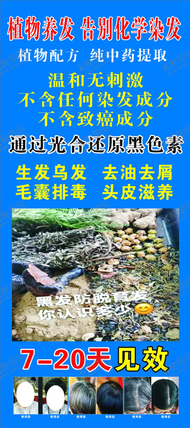编号：77923901220535124133【酷图网】源文件下载-植物养发