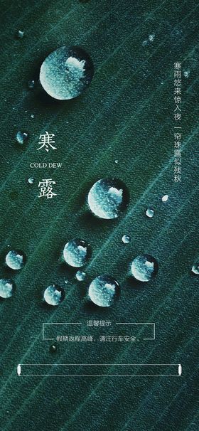 寒露海报节气宣传中国传统节气节气