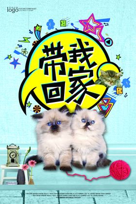 宠物海报