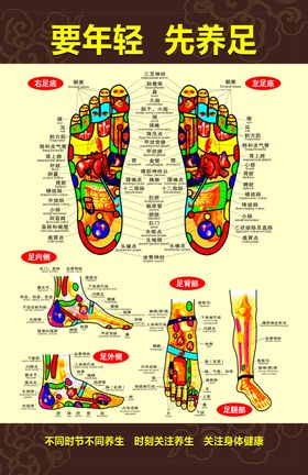 足部反射区示意图