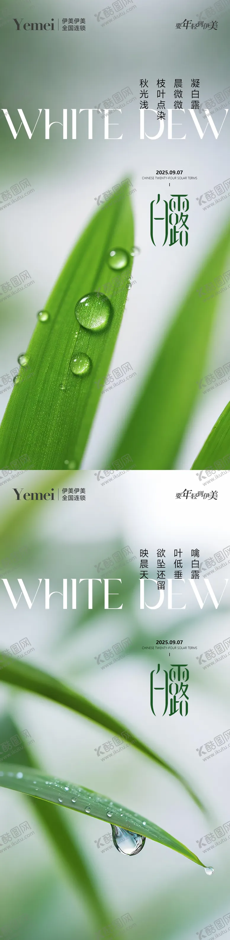 编号：25603909021410361445【酷图网】源文件下载-白露节气系列海报