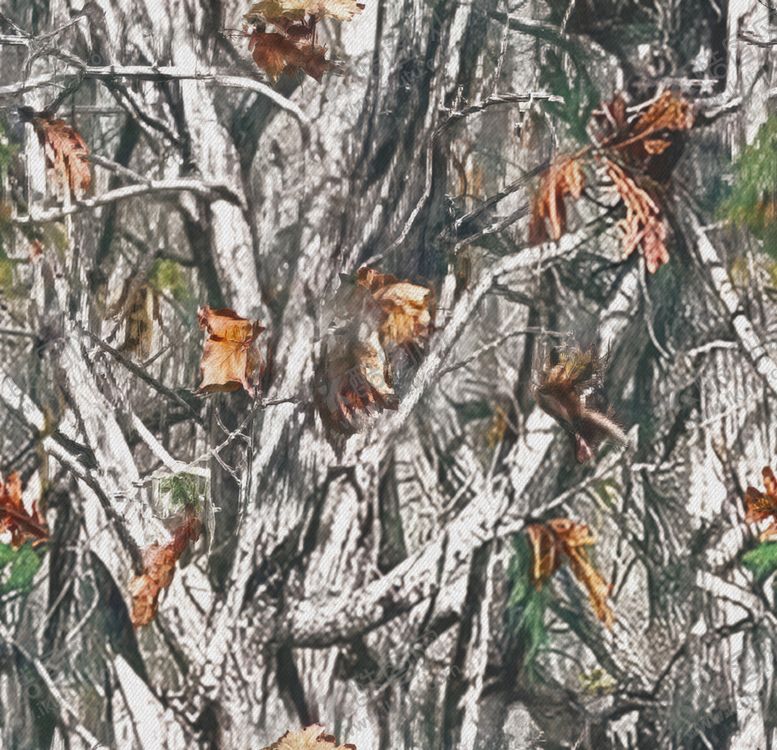 编号：91364104132059053358【酷图网】源文件下载-树枝上的多彩蝴蝶