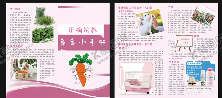 编号：22097905112321053916【酷图网】源文件下载-养兔宣传单对折
