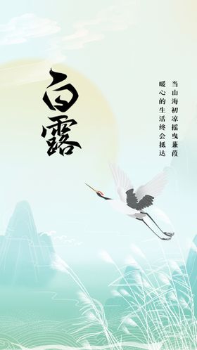白露活动宣传节气