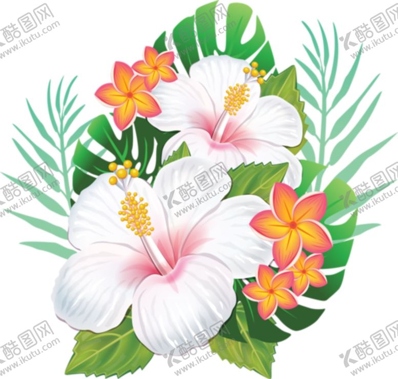 编号：11165009221624158113【酷图网】源文件下载-鲜花