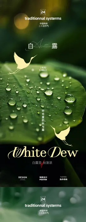 白露节气海报设计
