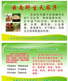 金天国际名片