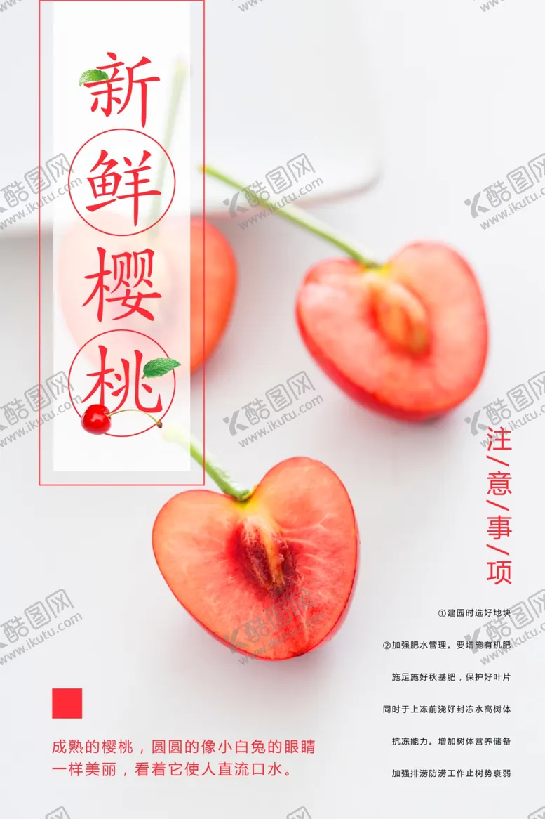 编号：15053701272140009233【酷图网】源文件下载-新鲜樱桃