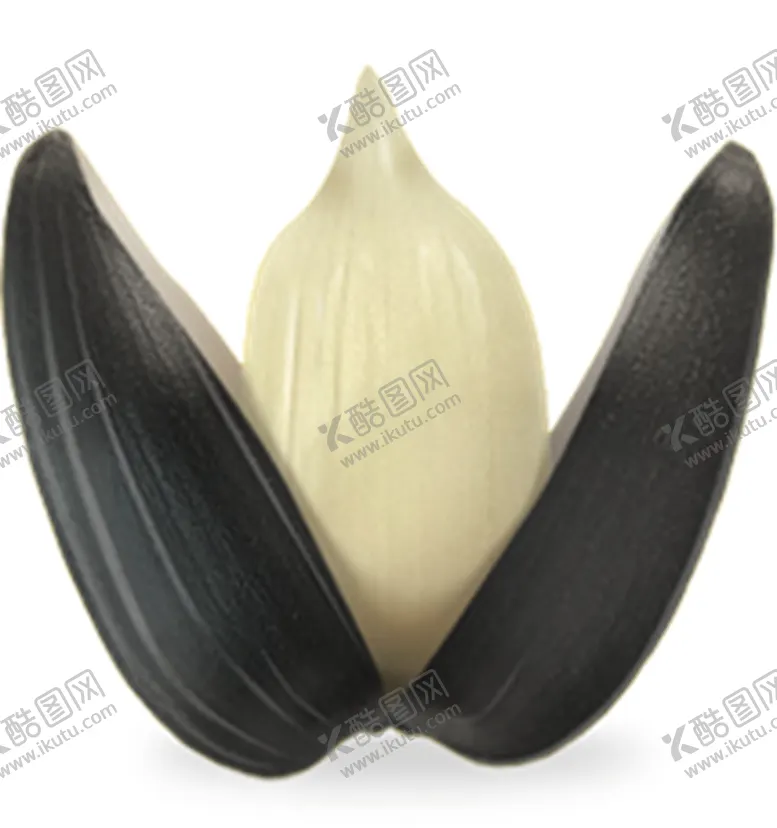 编号：26217009220618056162【酷图网】源文件下载-瓜子