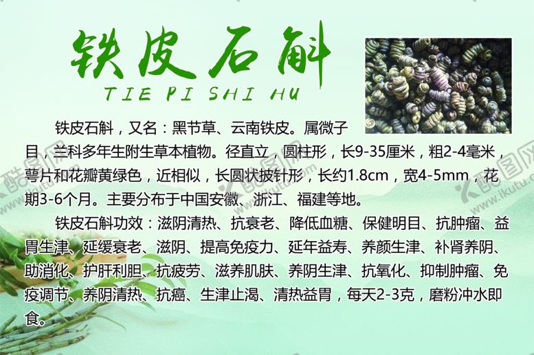 编号：22601006251839286869【酷图网】源文件下载-铁皮石斛