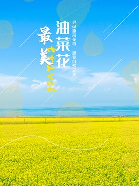 唯美一起去看油菜花海海报