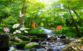 树林小鹿麋鹿优美风景