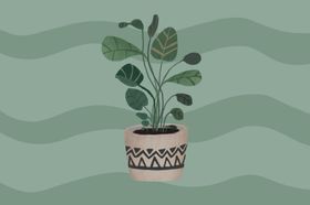 手绘复古肌理小植物