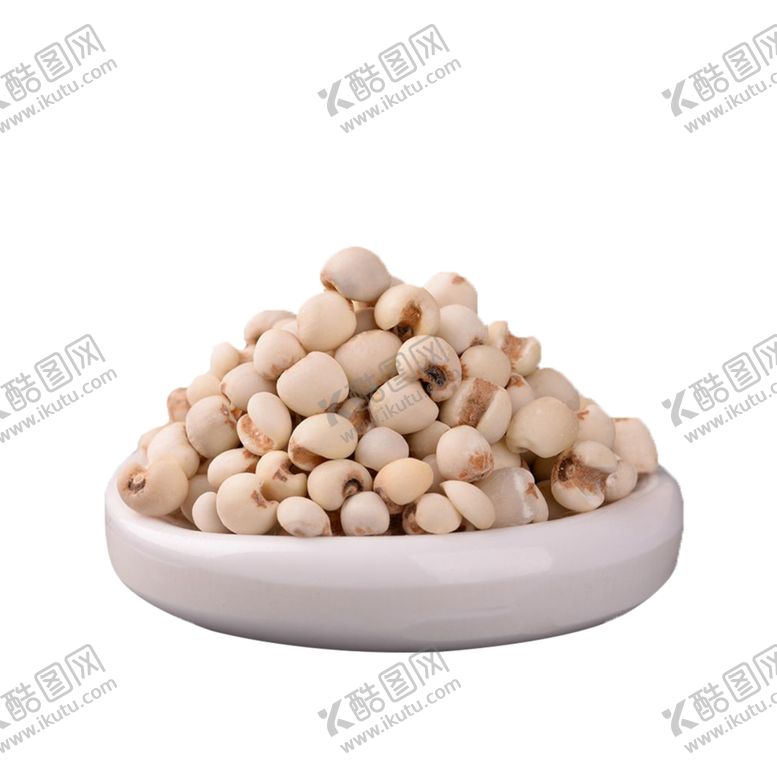 编号：14289212200303377221【酷图网】源文件下载-薏苡仁