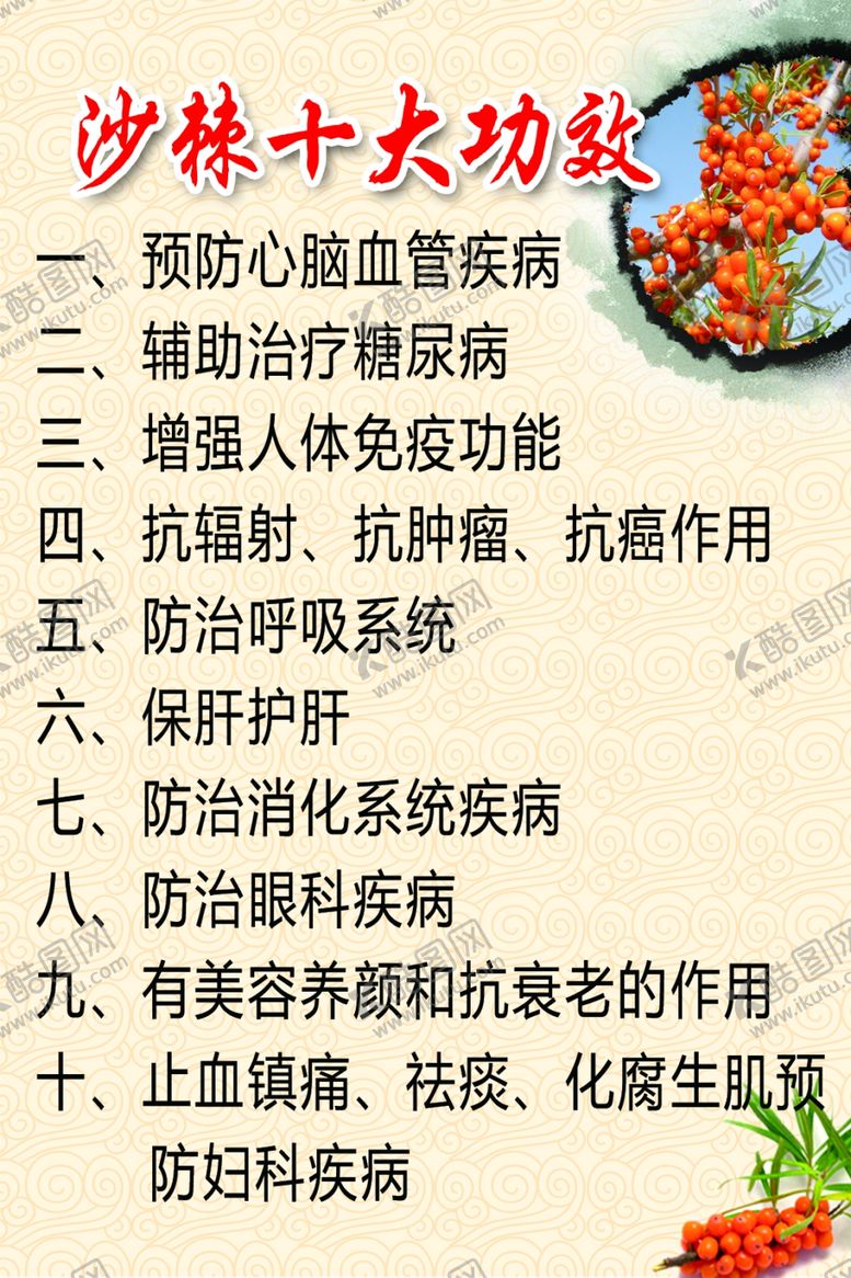 编号：17311609150148448414【酷图网】源文件下载-沙棘的十大功效