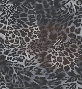 豹纹