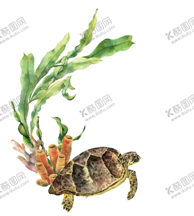 编号：41919006160510246150【酷图网】源文件下载-海洋主题插画图案