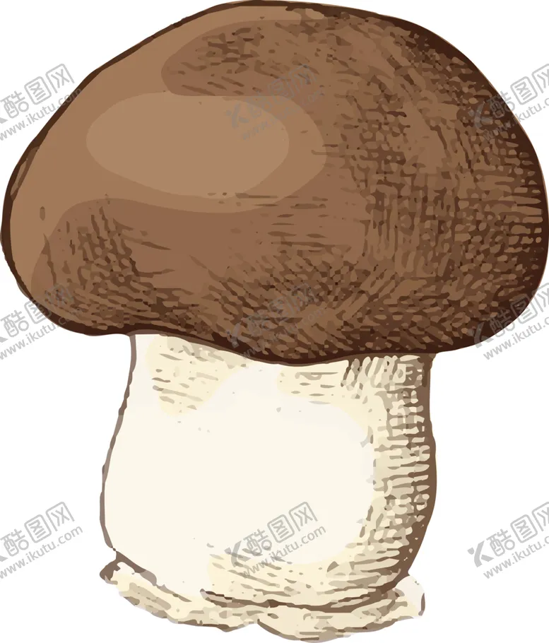 编号：37416602081946442809【酷图网】源文件下载-菌类植物
