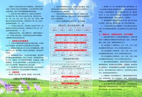 赛鸽规程