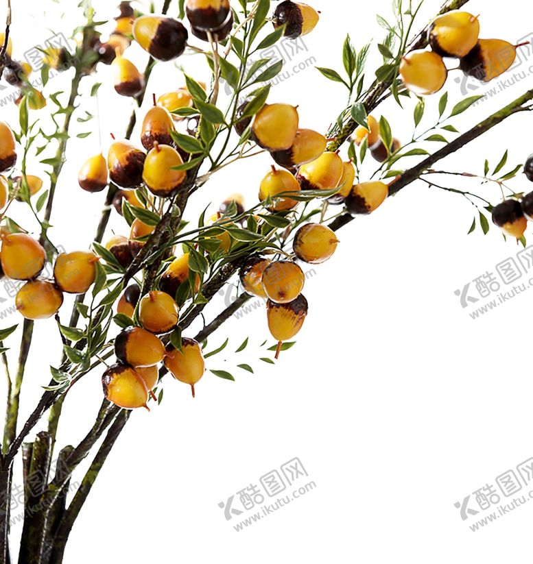 编号：57496210041023283253【酷图网】源文件下载-花艺