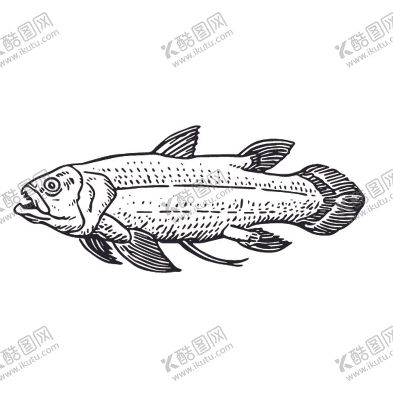 编号：81541309271125013322【酷图网】源文件下载-海洋生物鱼类图案