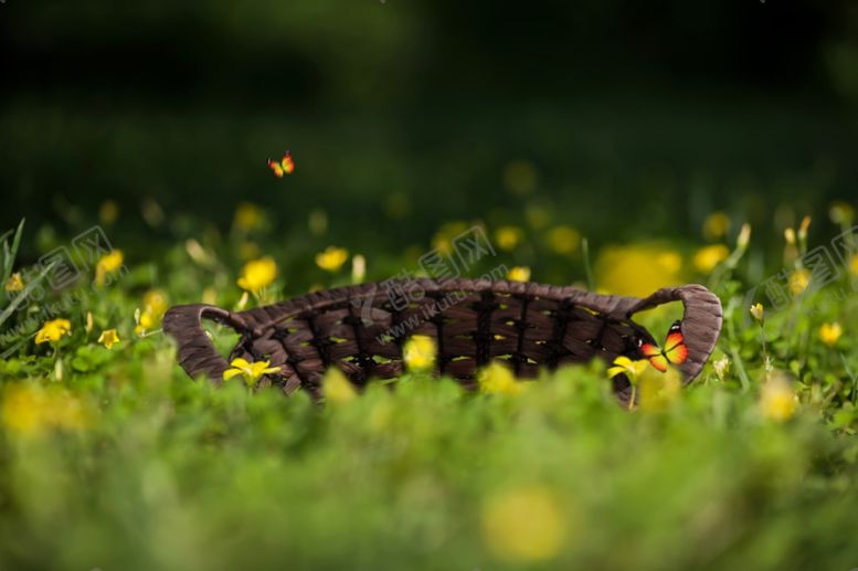 编号：53778910290653171568【酷图网】源文件下载-影楼模板