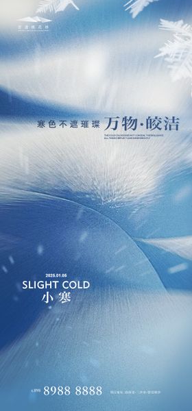小寒节气海报二十四意境房地产冬天