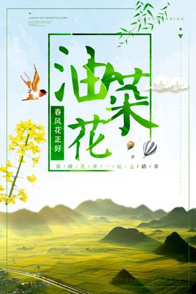 油菜花