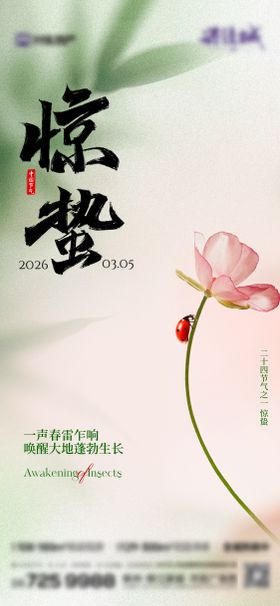 惊蛰传统节气海报