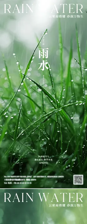 二十四节气海报雨水海报